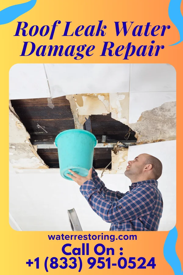 Roof Leak Water Damage Repair in Union, NE